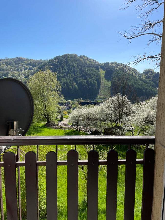 Apartament Dziki Rogacz Szczawnica Bagian luar foto